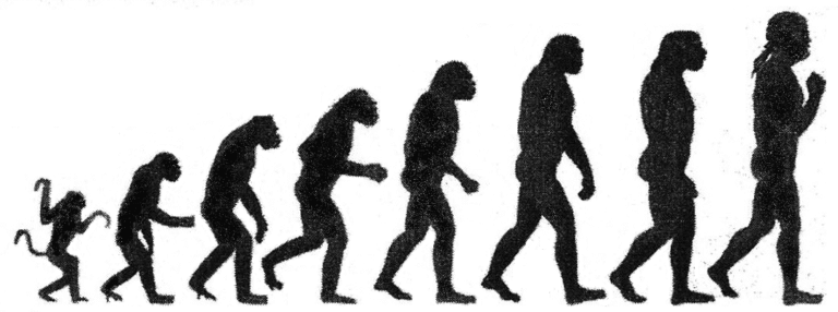 Evolution of betterMD